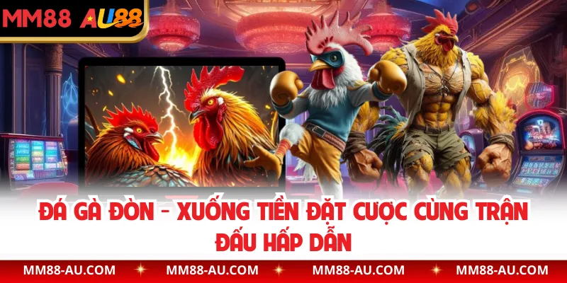 Đá Gà Đòn - Xuống Tiền Đặt Cược Cùng Trận Đấu Hấp Dẫn Tại MM88