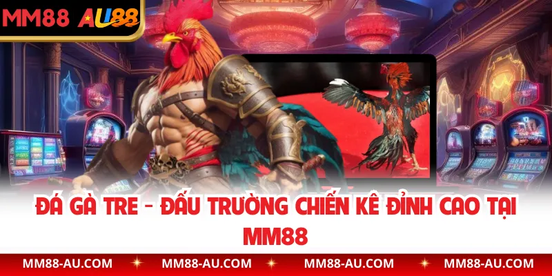 Đá Gà Tre - Đấu Trường Chiến Kê Đỉnh Cao Tại MM88